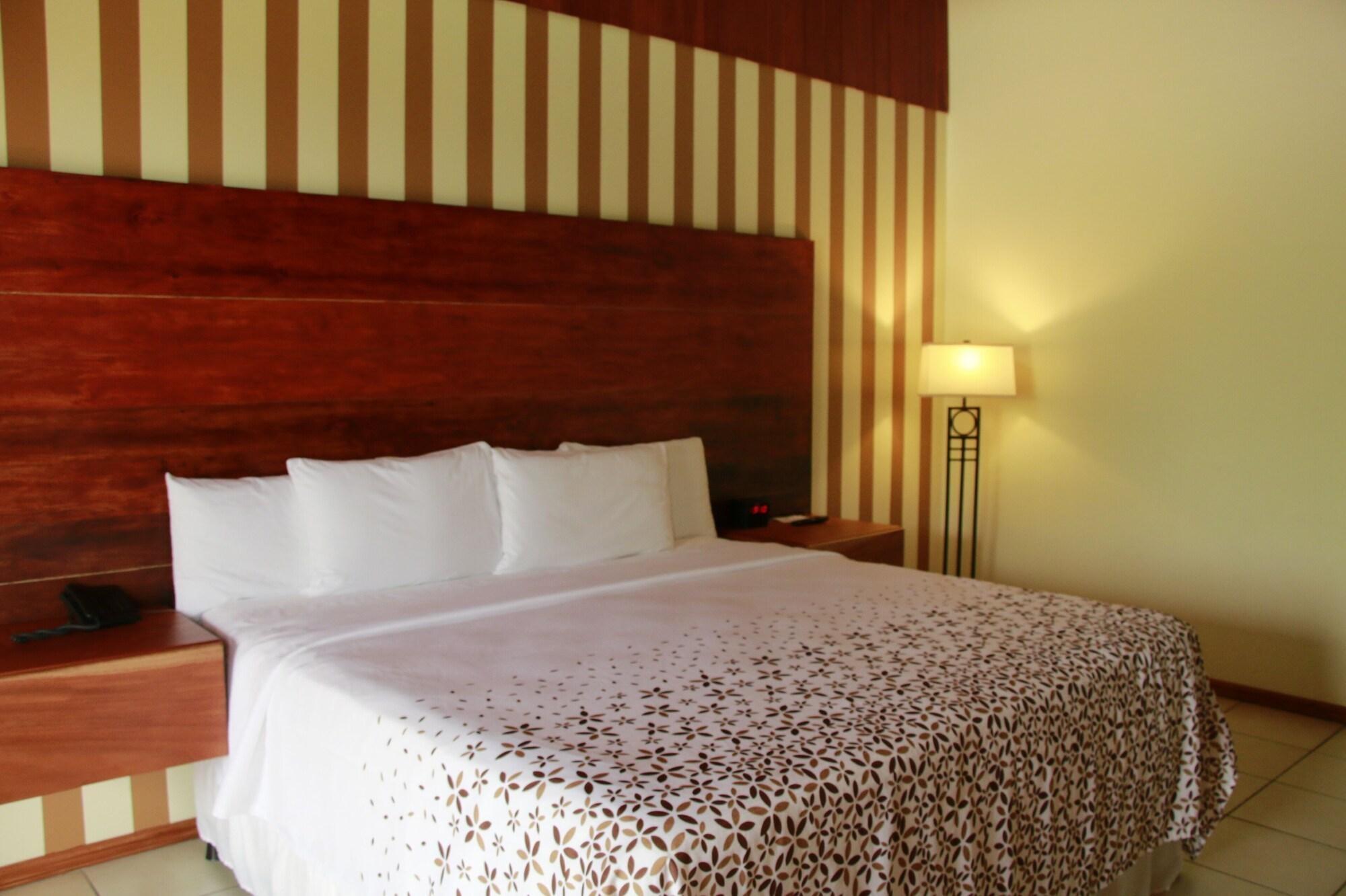 Ficus - Hotel