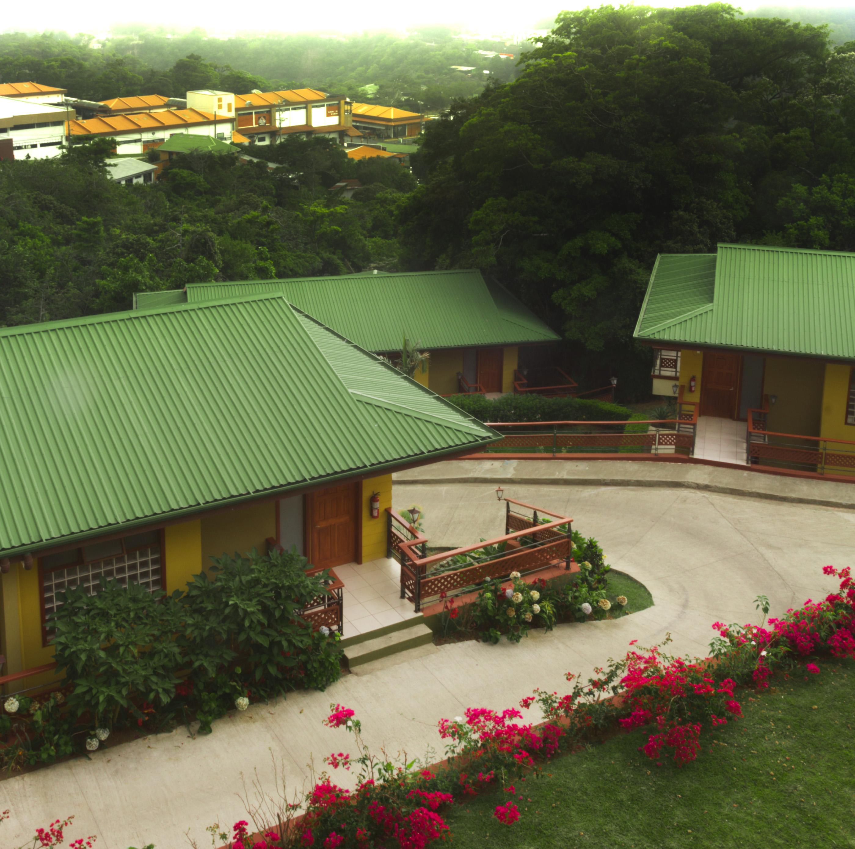 Ficus - Hotel 4*