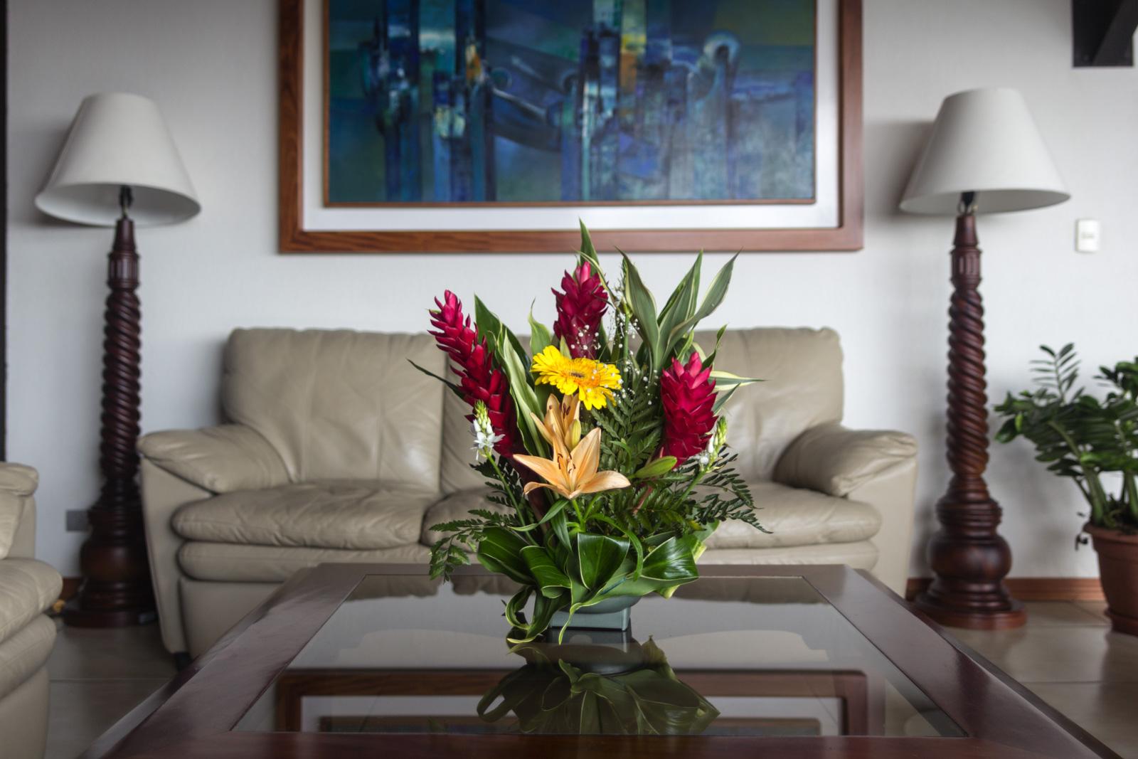Ficus - Hotel 4*