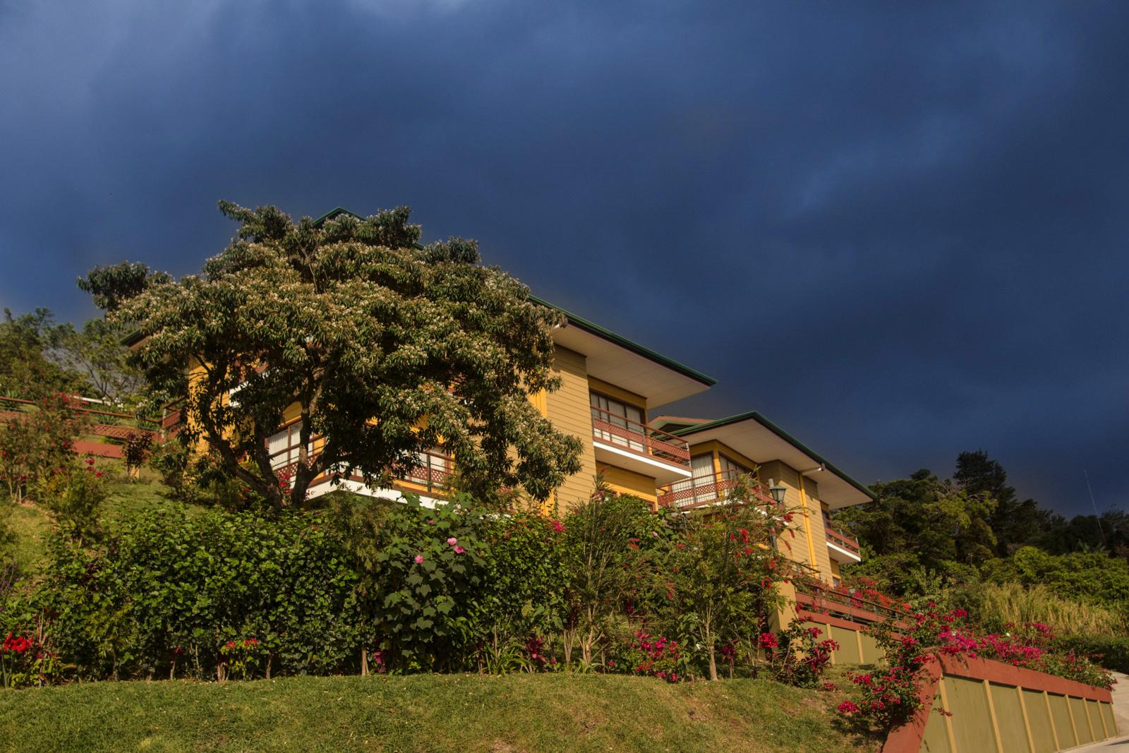 Hotel Ficus - 4*