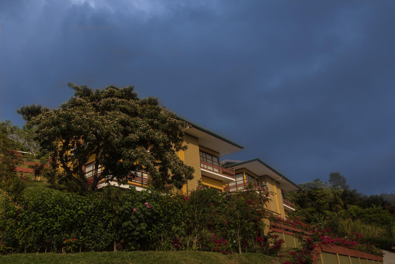 Hotel Ficus - 4*