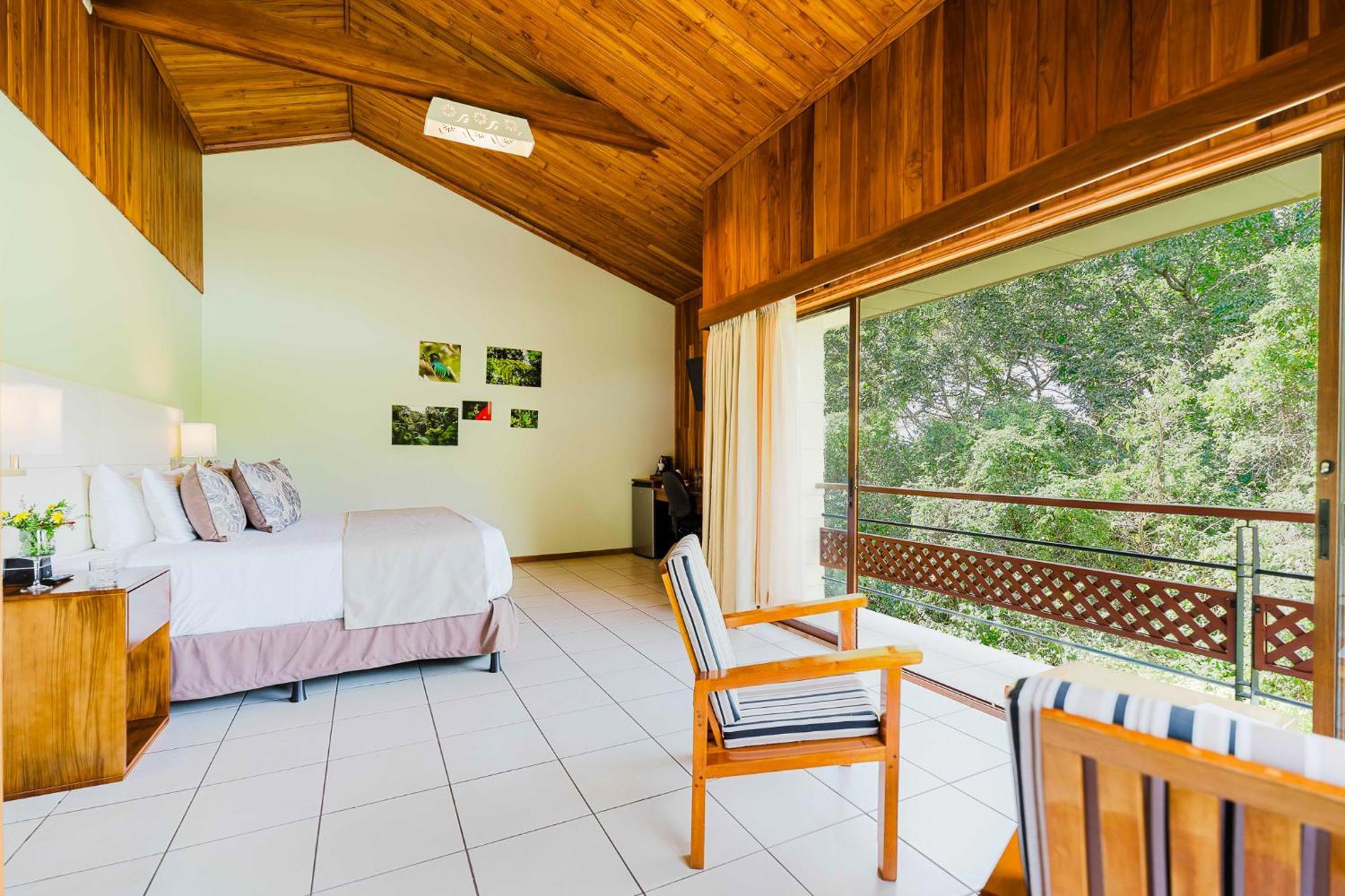 Hotel Ficus -