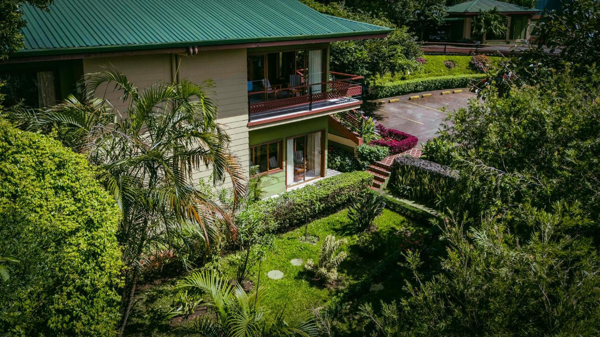 Ficus - 4* Monteverde