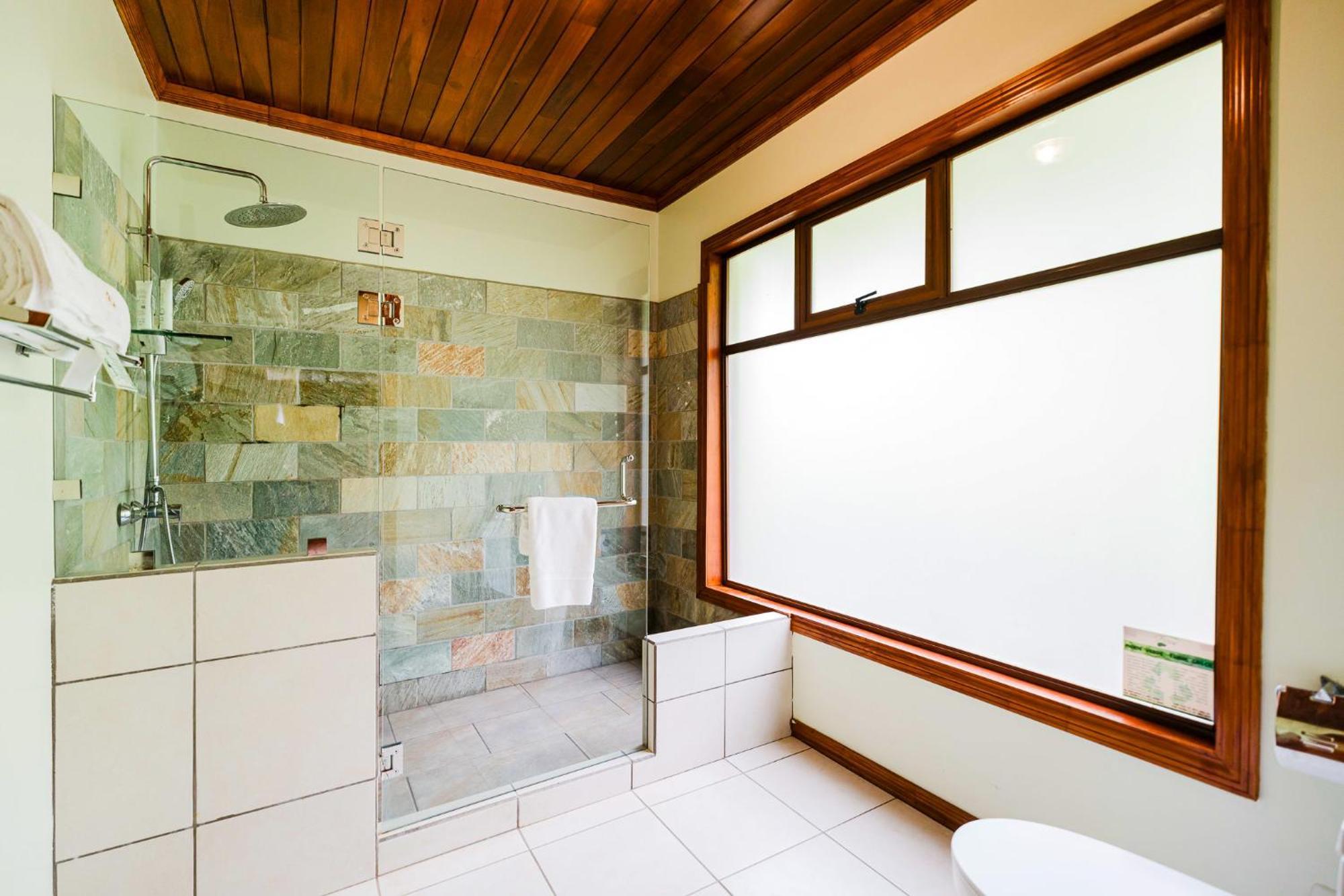Ficus -