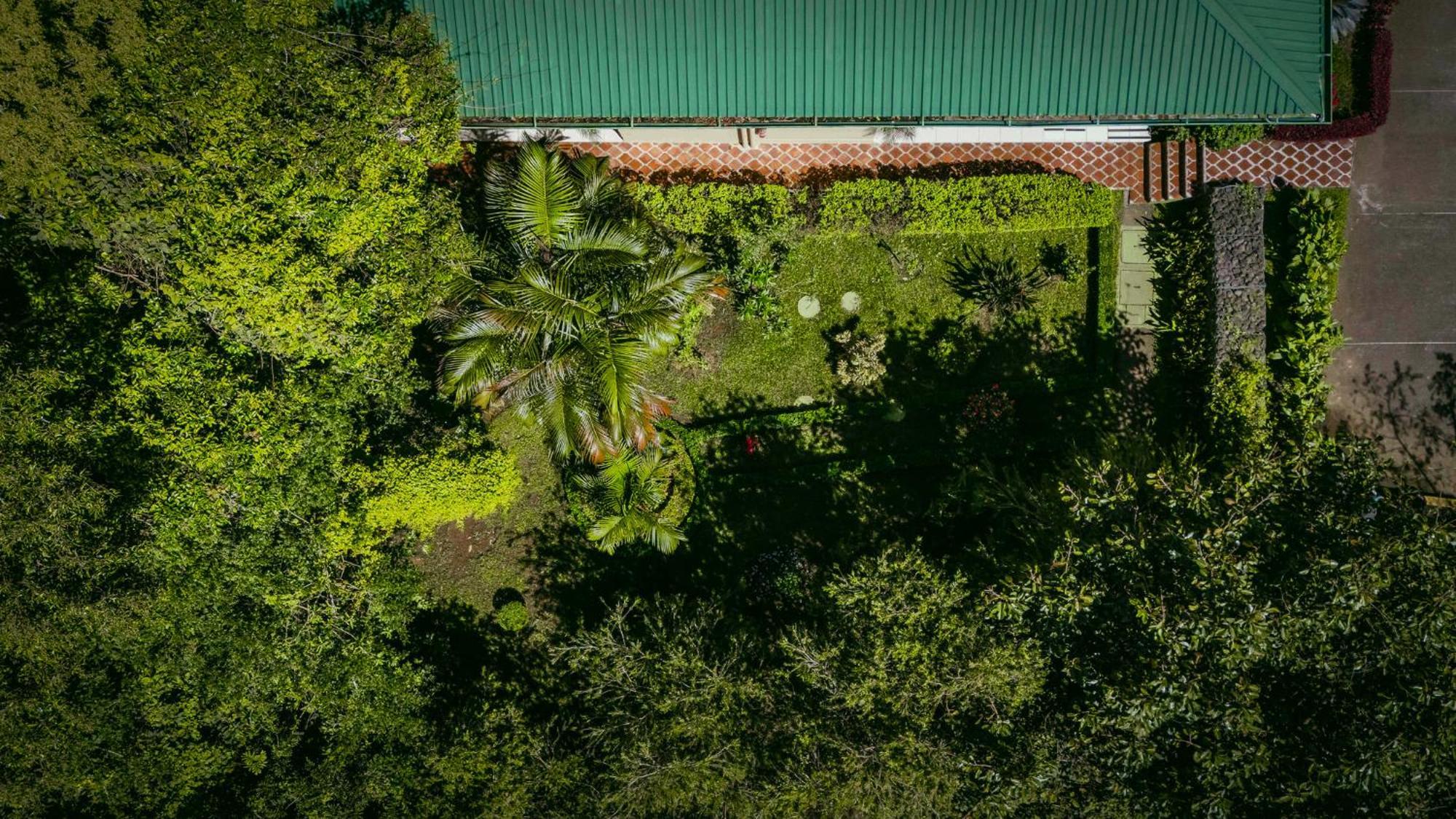 Ficus - Hotel