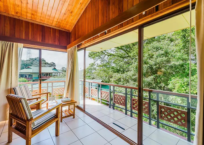 Ficus Sunset Suites